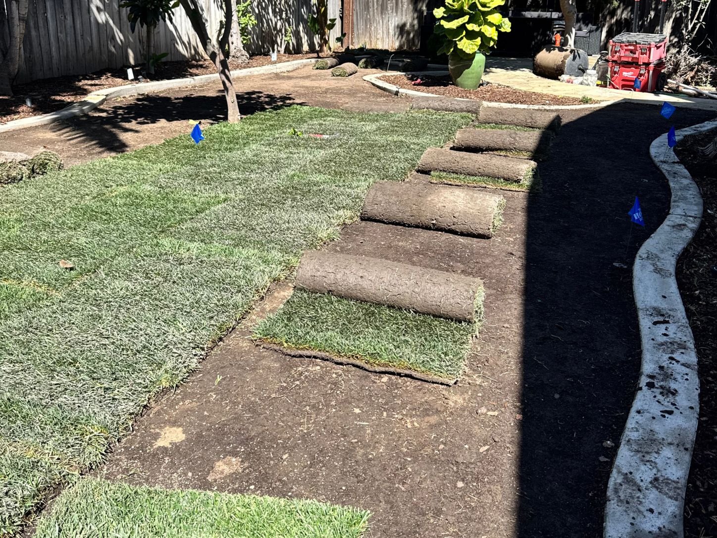 Lawn conversion and new sod installation in North Tustin, CA, after