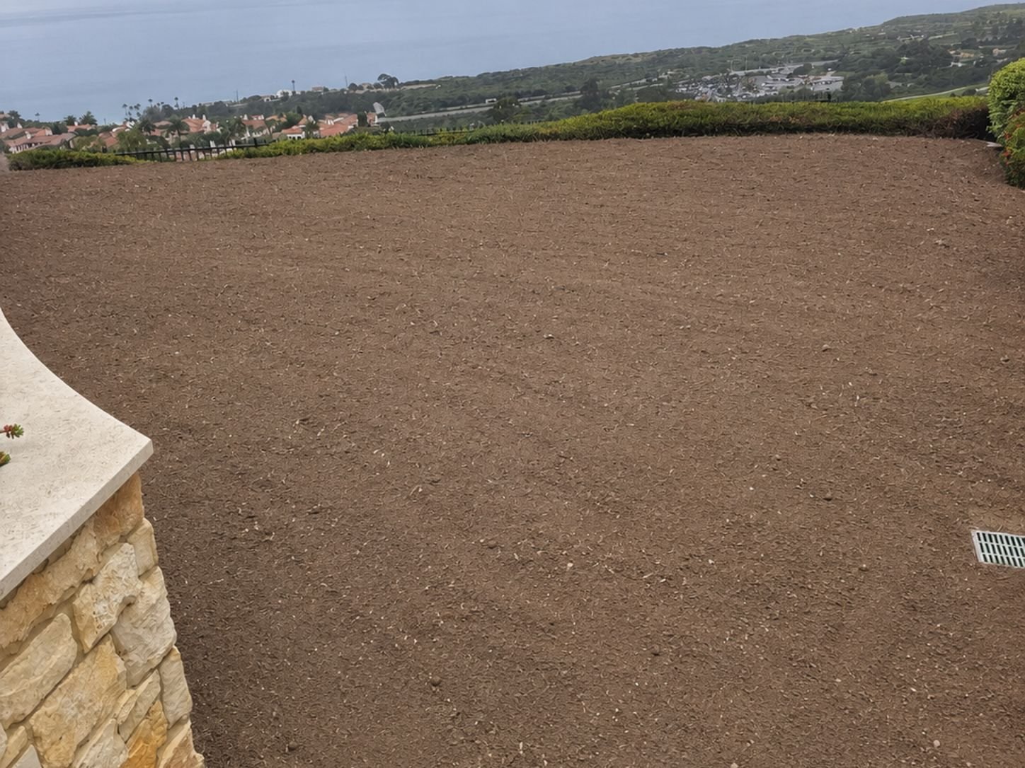 New sod installation and irrigation upgrade in Newport Beach, CA, before